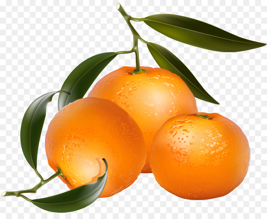 Naranja，Agrios PNG