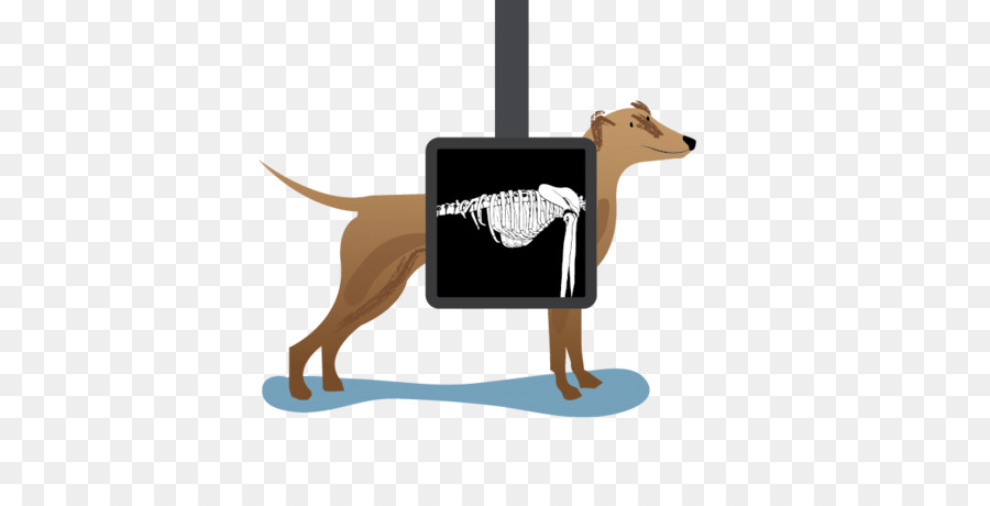 Cachorro，Perro PNG