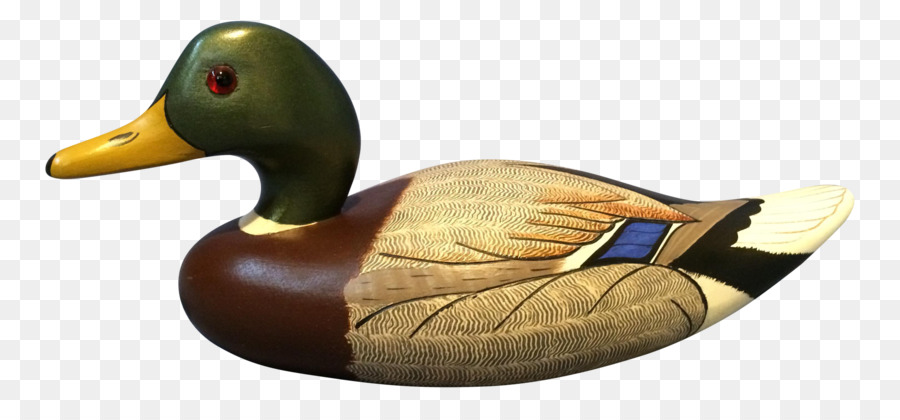 El ánade Real，Pato PNG