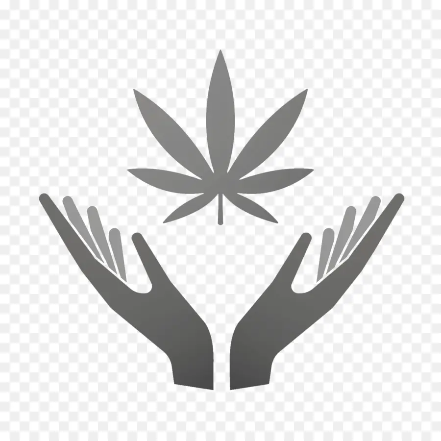 El Cannabis，El Cannabis Medicinal PNG