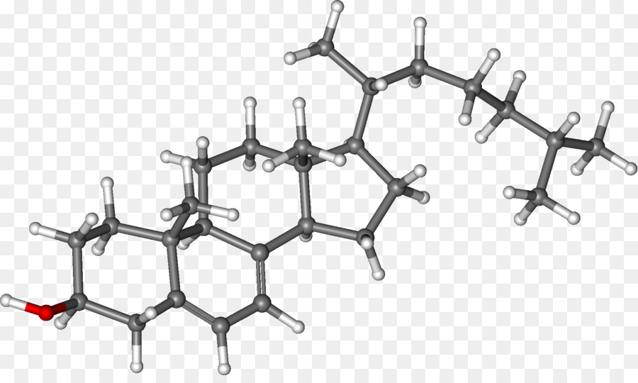 Los Lípidos，De Drogas Farmacéuticas PNG