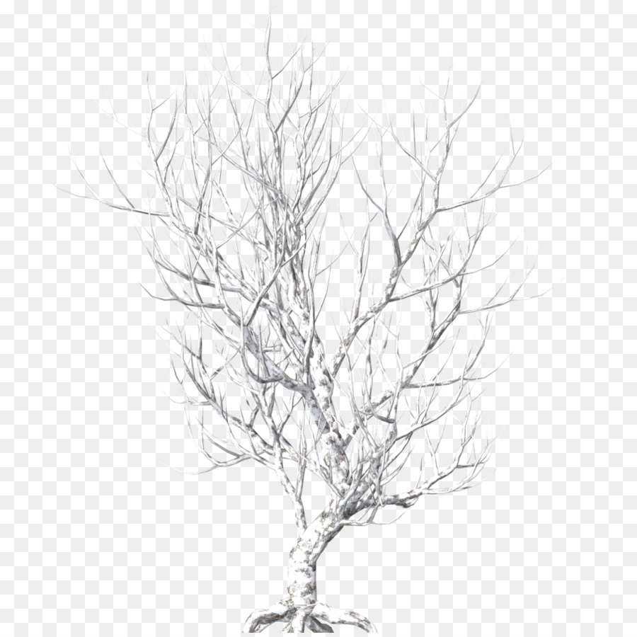 Árbol，Sucursales PNG