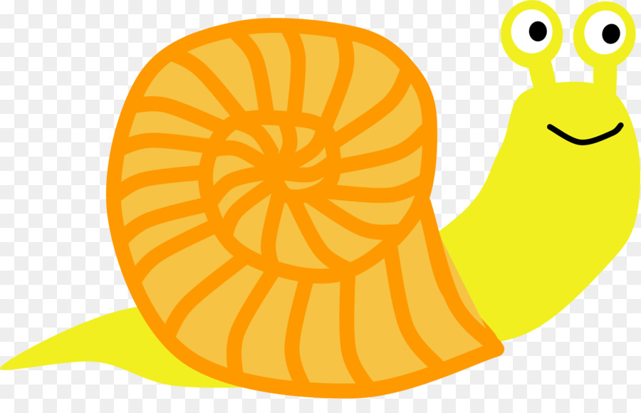 Caracol，Gasterópodo De Concha PNG