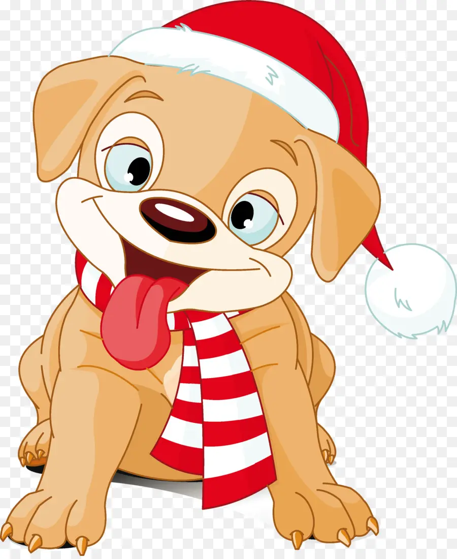 Cachorro，Gorro De Papá Noel PNG