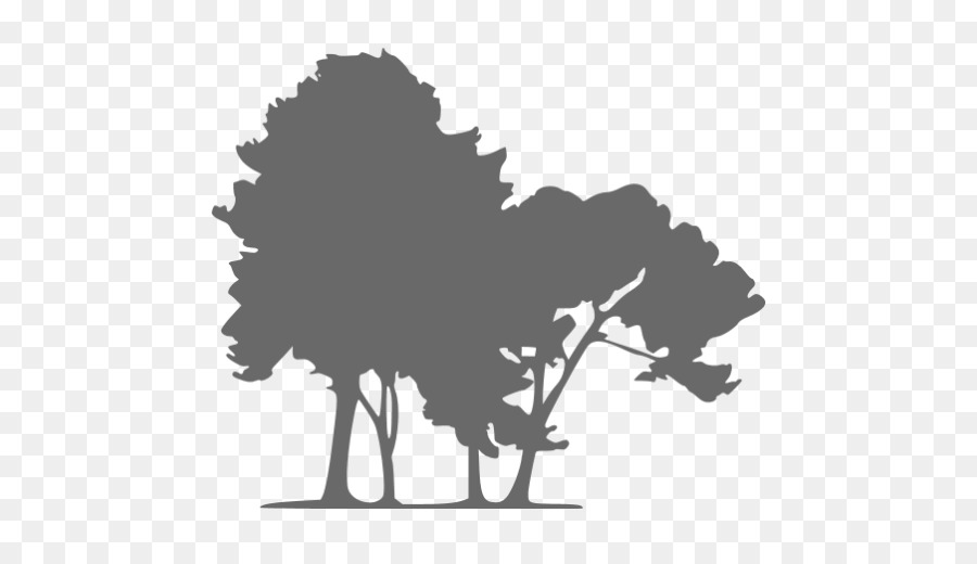 Árbol，Naturaleza PNG