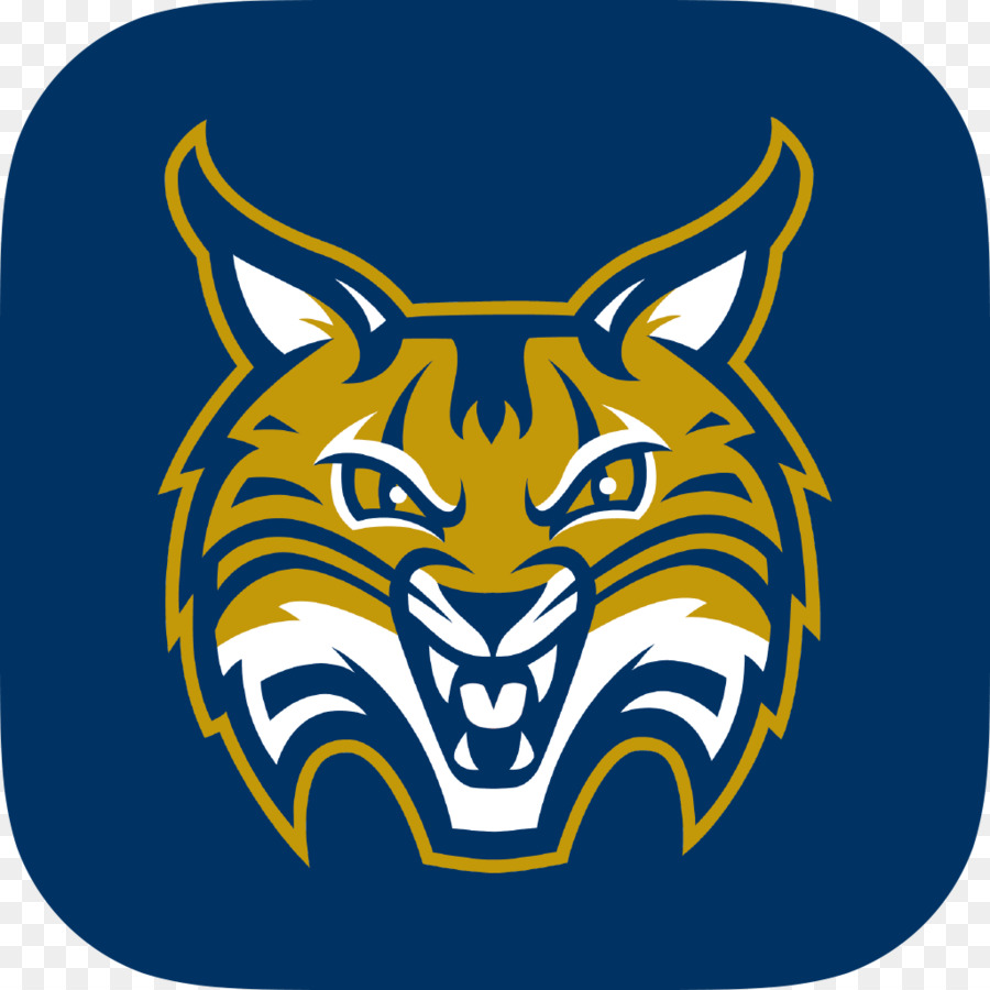 La Universidad De Quinnipiac，Quinnipiac Bobcats Baloncesto Masculino PNG