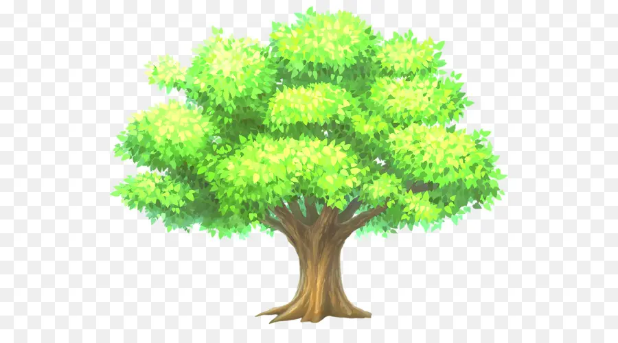 Árbol，Dibujo PNG