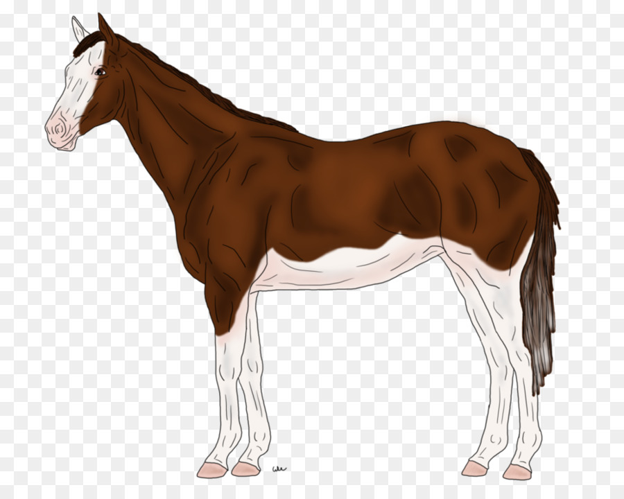 Semental，Pony PNG