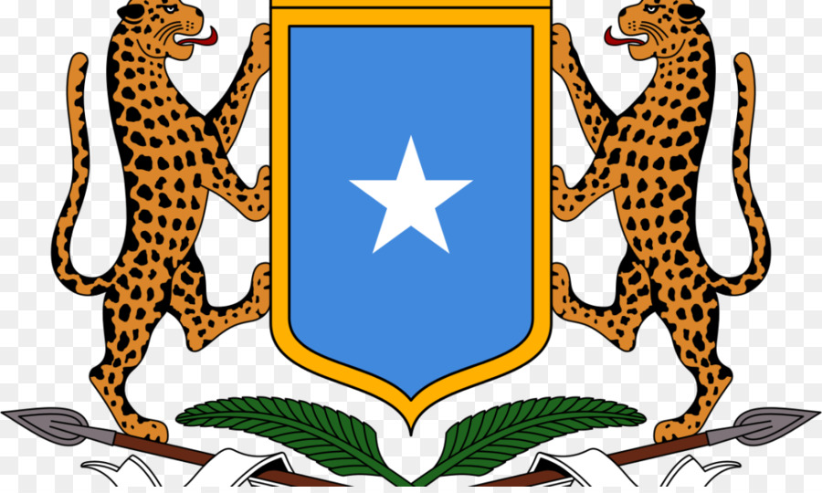 Embajada De Somalia，Dowladda PNG