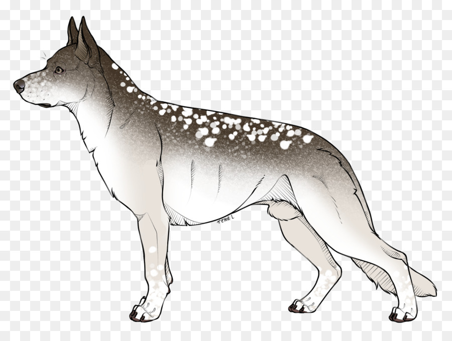 Perro Lobo Checoslovaco，Saarloos Lobo PNG