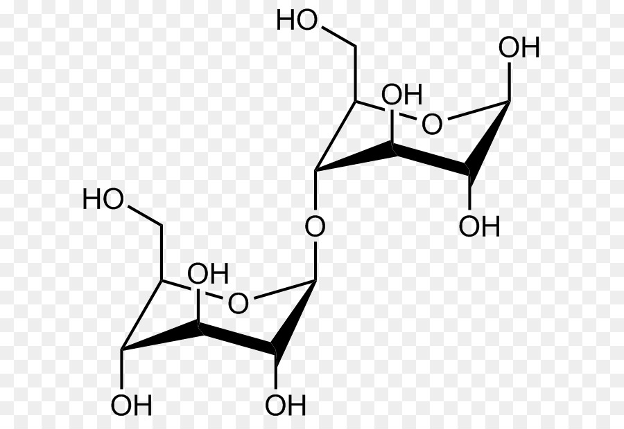 El ácido Glucurónico，ácido PNG