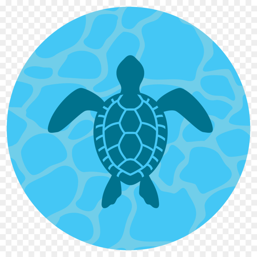 Tortuga De Mar，Tortuga PNG