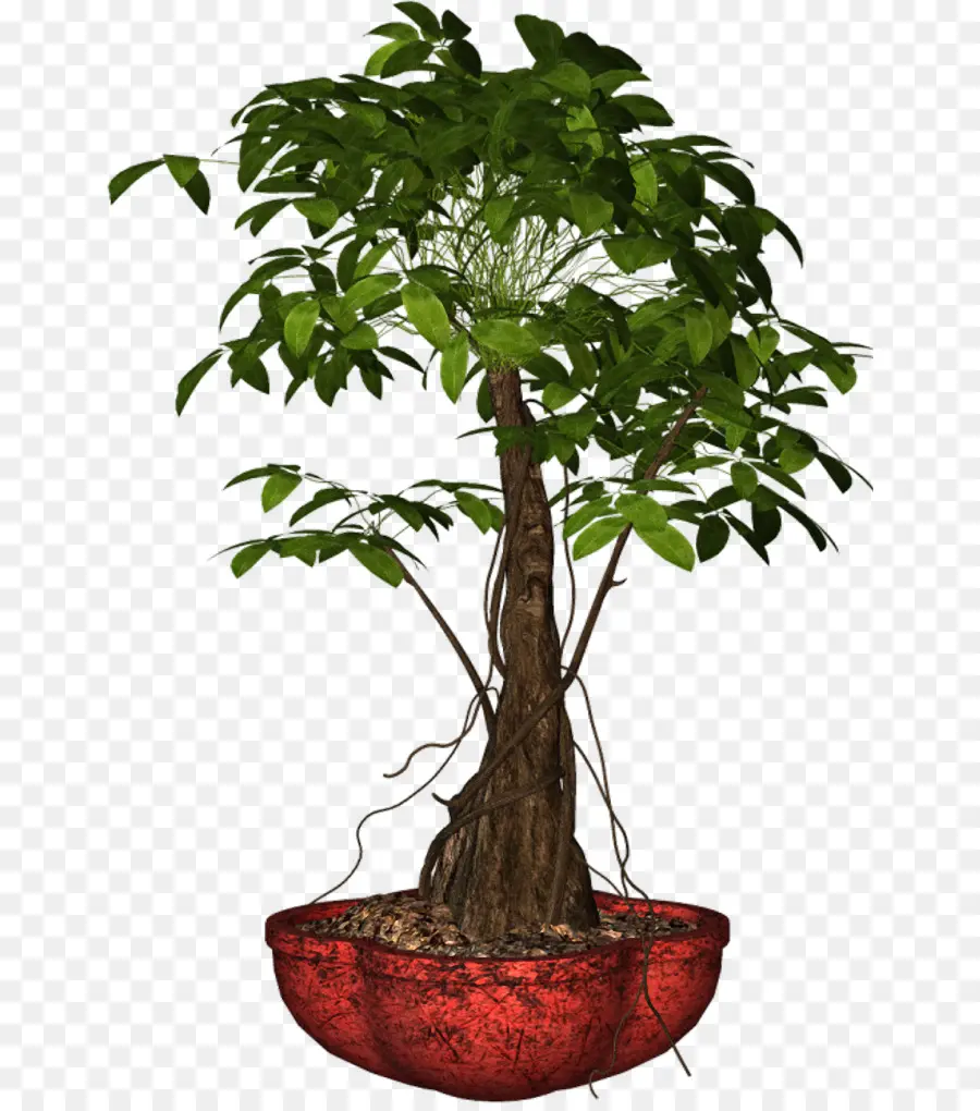 árbol En Maceta，Hojas PNG