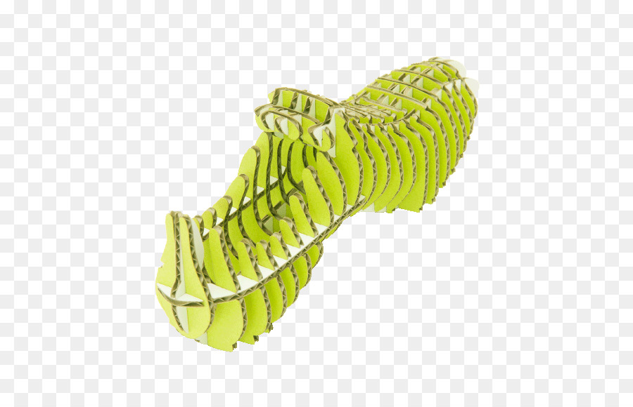 Zapato，Zapatos Al Aire Libre PNG