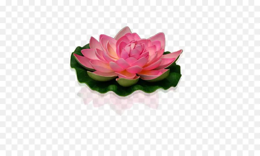 Loto Sagrado，Flores Artificiales PNG