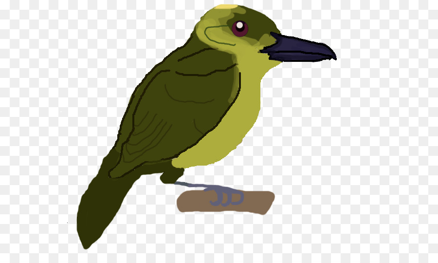 Pico，Aves PNG