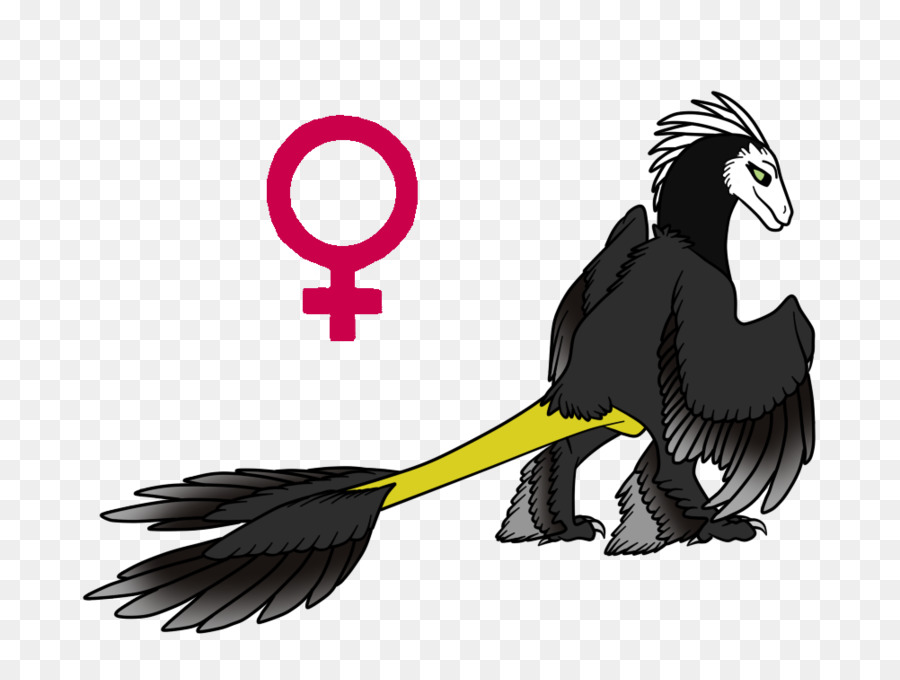 Pico，Aves PNG