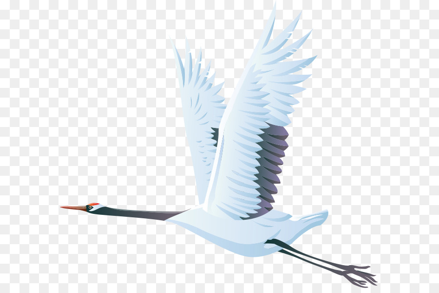 Pájaro，Vuelo PNG