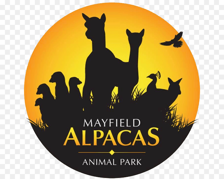 Alpacas Mayfield，Alpaca PNG