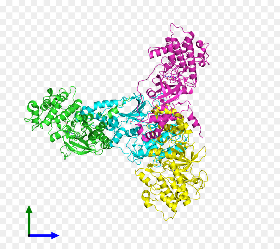 Estructura Proteica，Molécula PNG