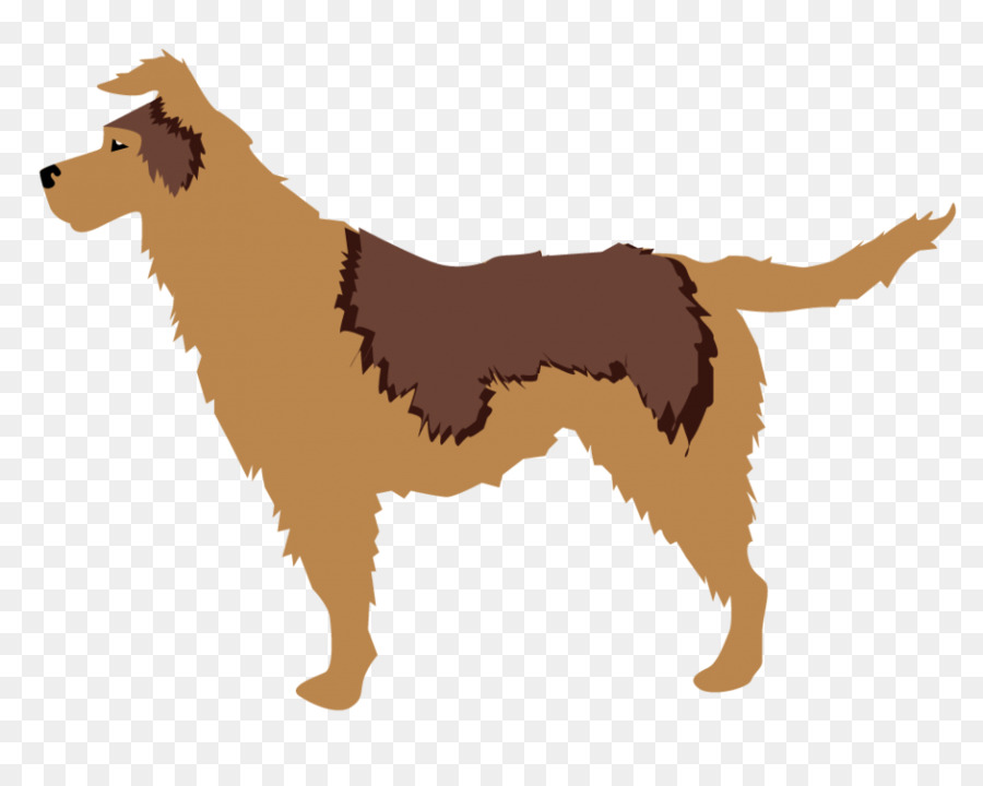 Raza De Perro，Cachorro PNG