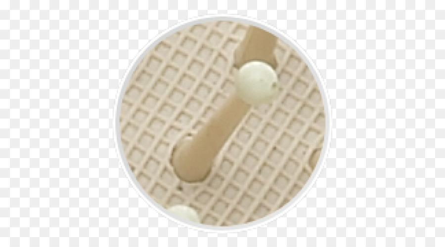 Ardilla，Beige PNG