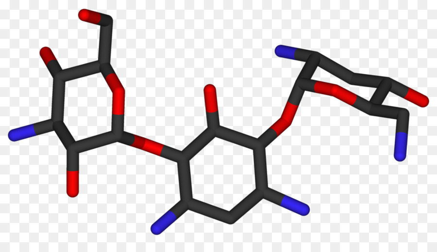 La Tobramicina，Los Aminoglucósidos PNG