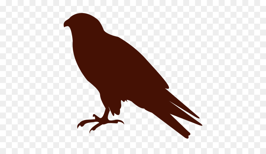 Pájaro Morado，Silueta PNG