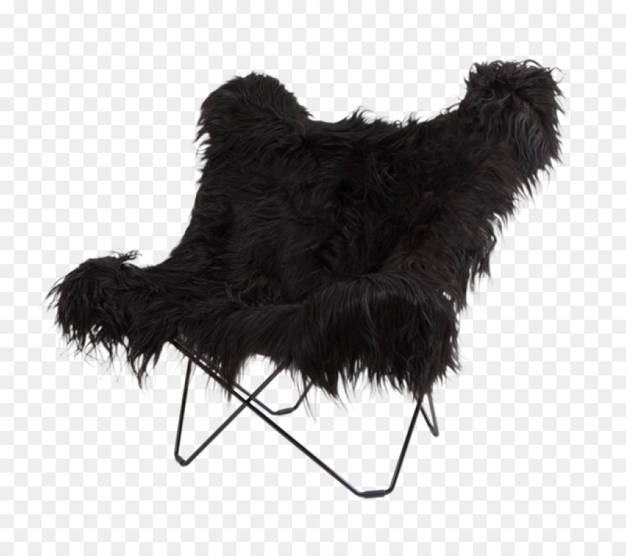 Eames，Mariposa De La Silla PNG