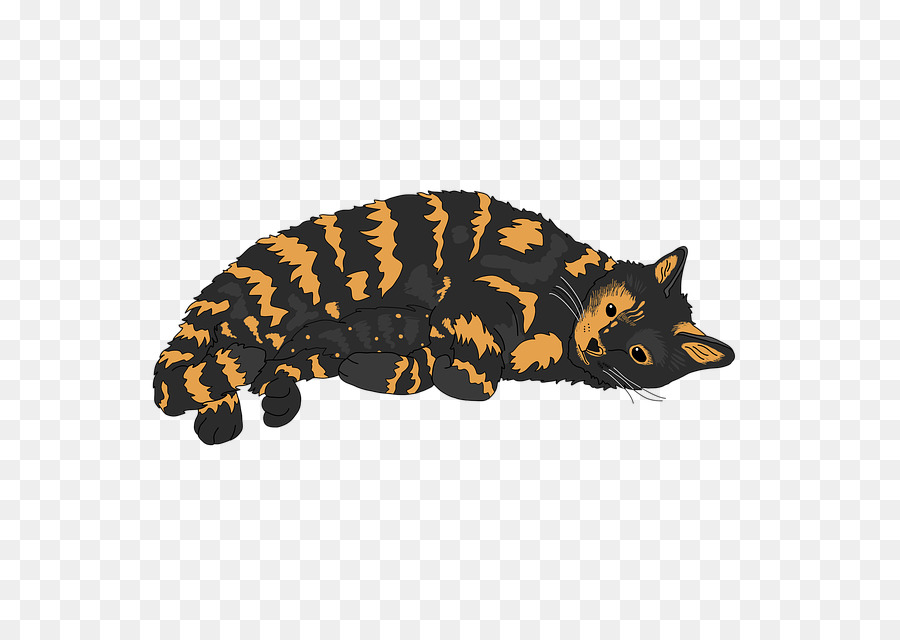 Gato，La Concha De Gato PNG