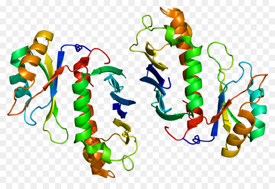 Rbm8a，Los Genes PNG