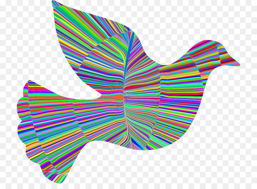 Pájaro Colorido，Arcoíris PNG