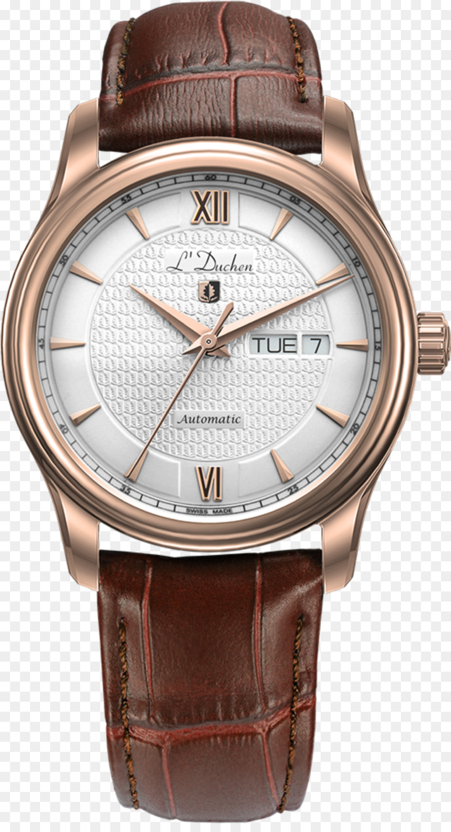 Reloj，Candino PNG