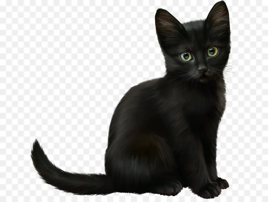 Gatito Negro，Gato PNG