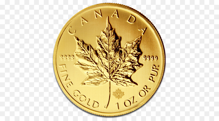 Canadiense De Oro De La Hoja De Arce，La Moneda De Oro PNG