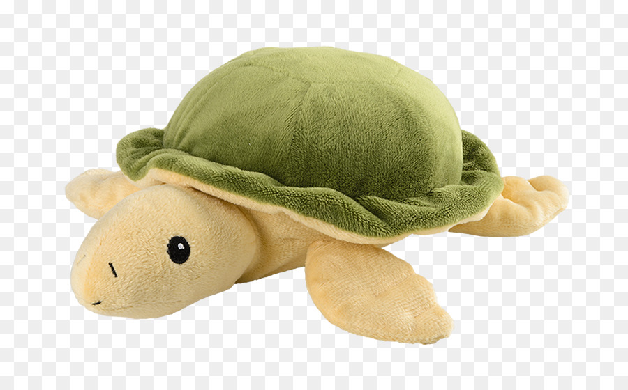 Tortuga Rellena，Felpa PNG