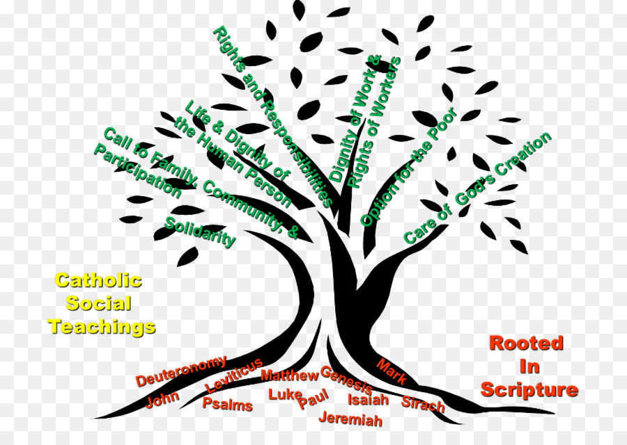 La Teología De Twelvers，Los Principios De La Jurisprudencia Islámica PNG