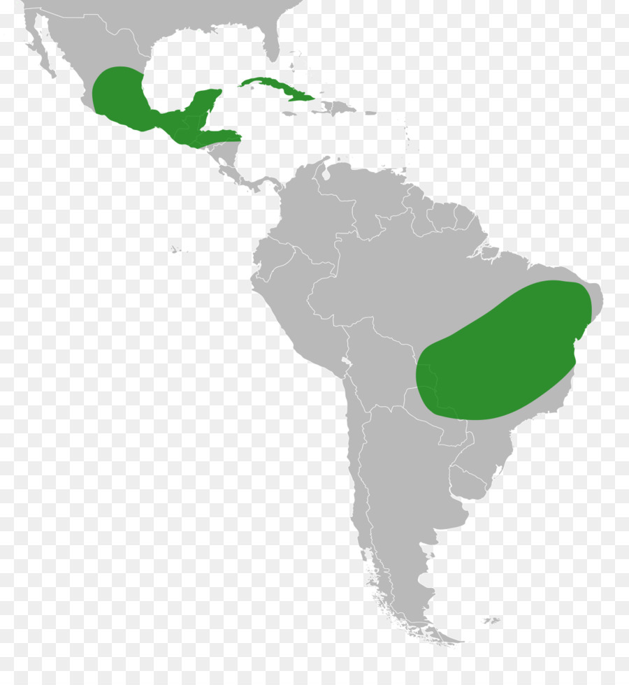 Estados Unidos De América，Guayana Francesa PNG