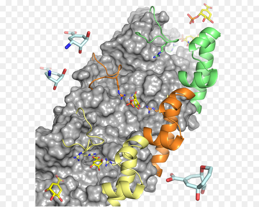 3dehydroquinate Deshidratasa，Página Web PNG