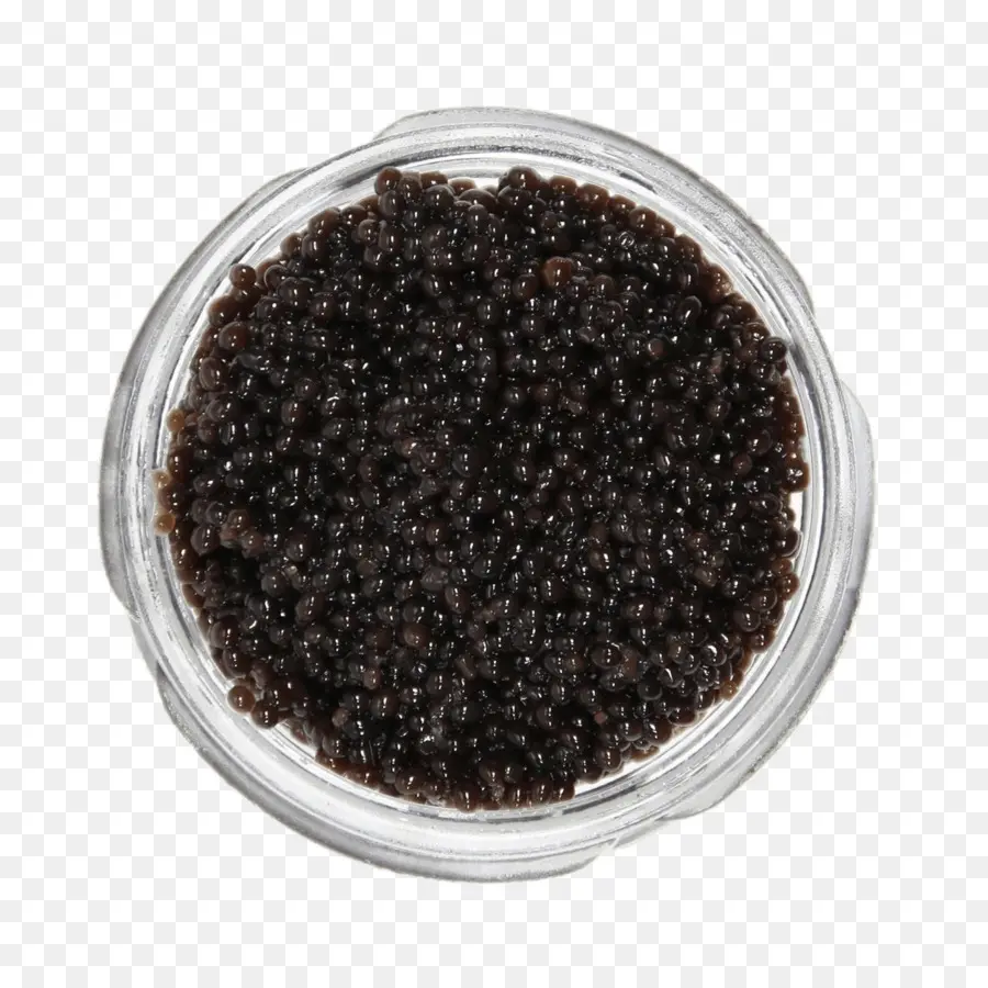 Caviar，Americana De Espátula PNG