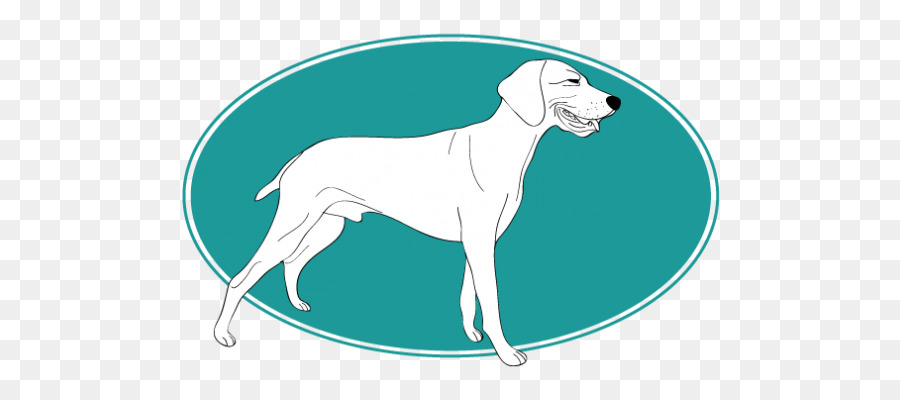 Raza De Perro，Lebrel Italiano PNG