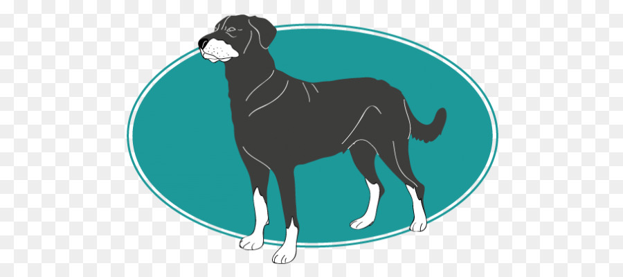 Raza De Perro，Lebrel Italiano PNG