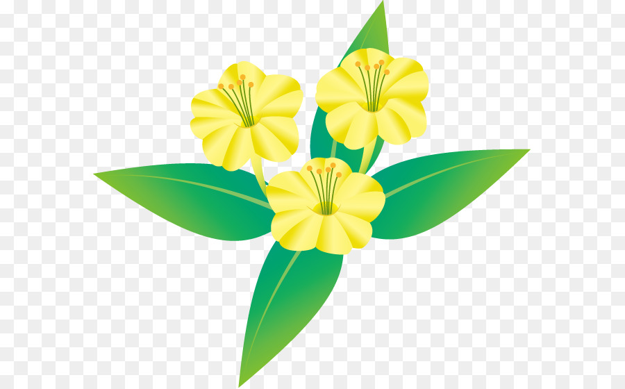 Marvelofperu，Flor PNG