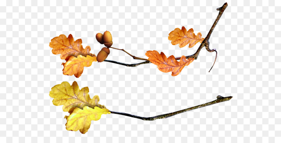 Otoño，Fondo De Escritorio PNG