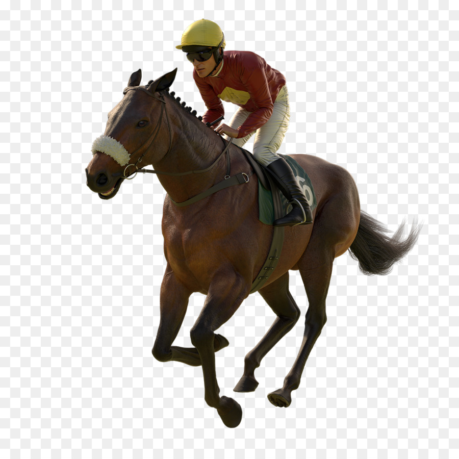 Carreras De Caballos，Jockey PNG