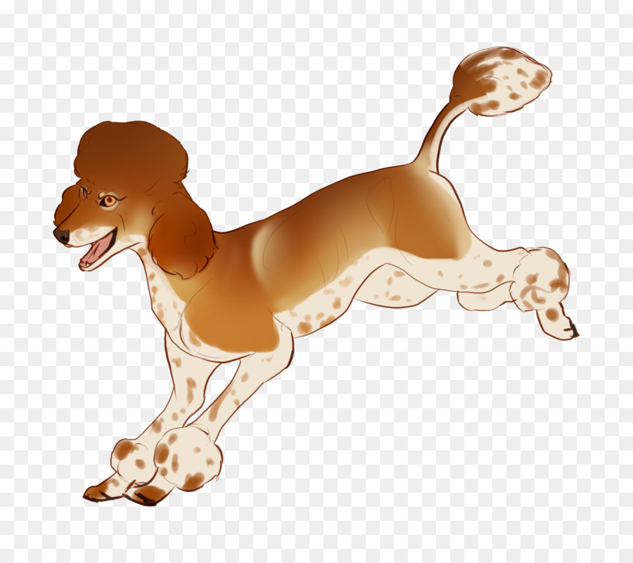 Raza De Perro，Lebrel Italiano PNG