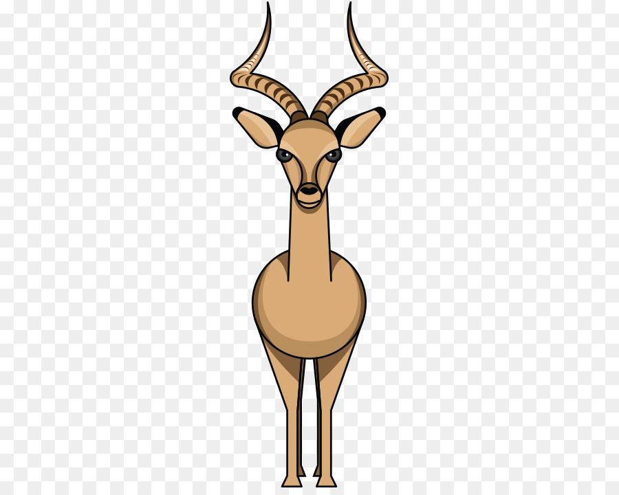 Impala，Antílope PNG