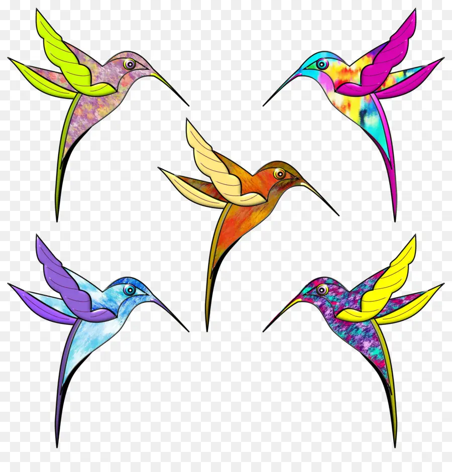 Colibrí，Color PNG