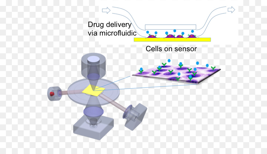 Biosensing Instrument Inc，Resonancia De Plasmones Superficiales PNG