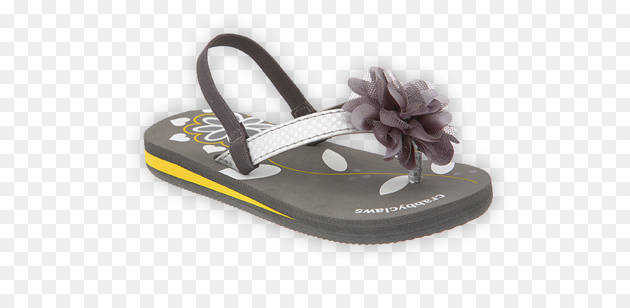 Zapato，Chanclas PNG